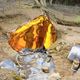 Image for article titled Geologists Uncover Slab Of Amber Containing Perfectly Preserved Adam And Eve